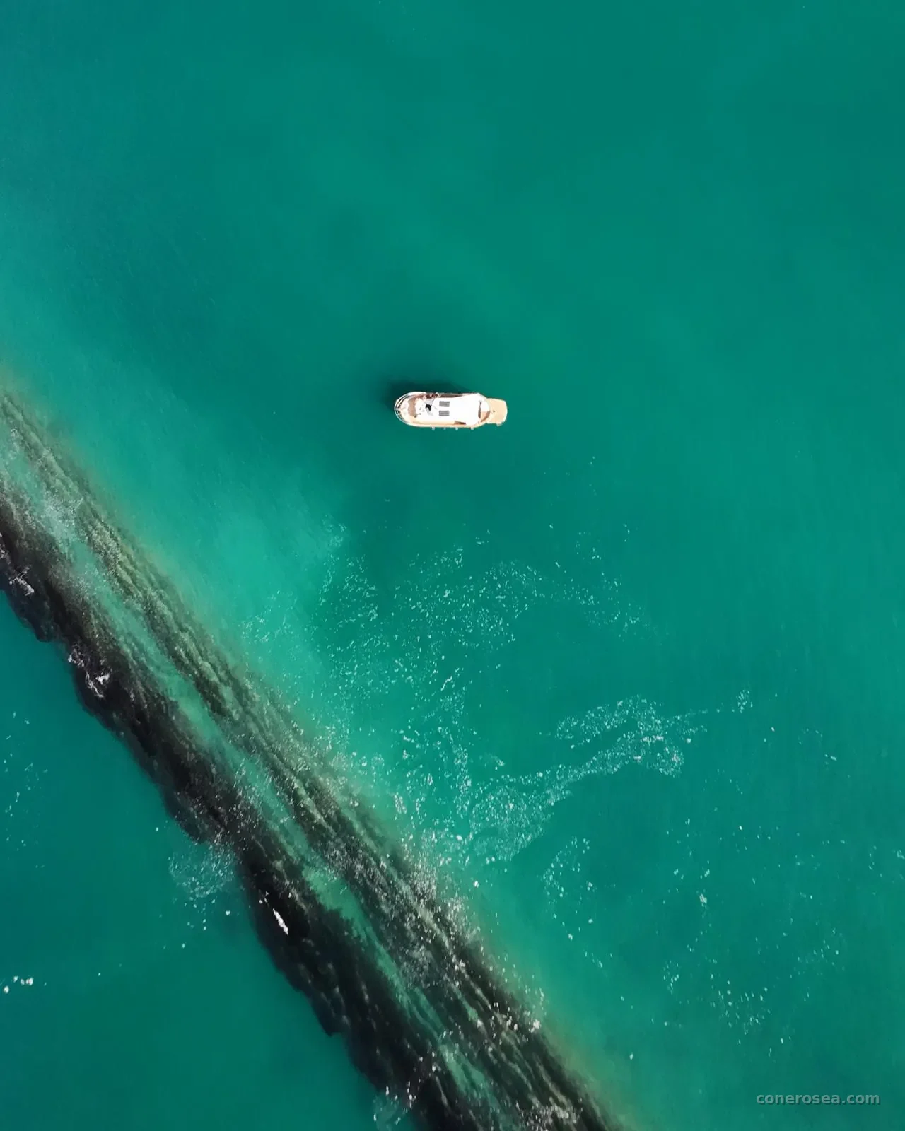 Trave Reef Minicruise
