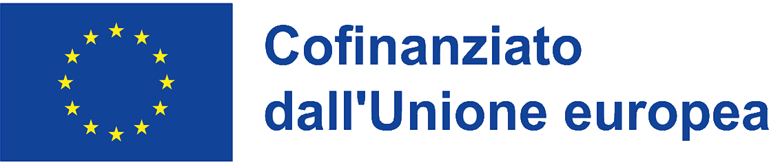 Co-funded by the European Union